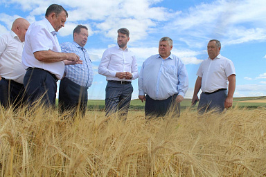 Оренбургская область добивается успехов в сельском хозяйстве
