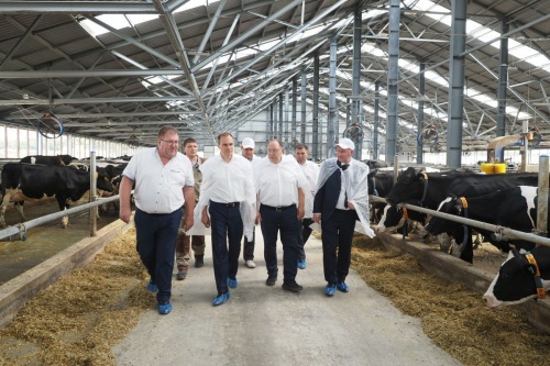 В Мордовии строят молочный комплекс на 6,5 тыс. голов