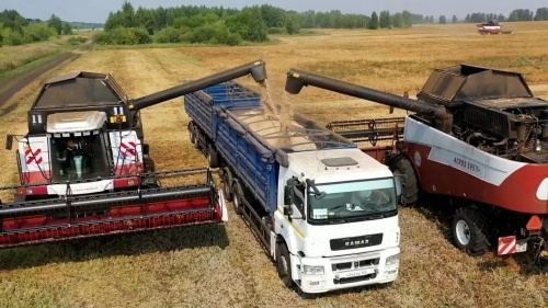 Урожай зерна в Башкортостане превысил 4 млн тонн