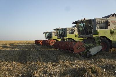 В Саратовской области собрано 5,5 млн тонн зерна
