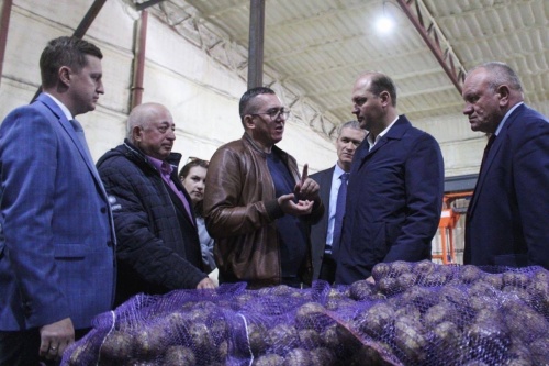 В Ульяновской области идёт уборка картофеля