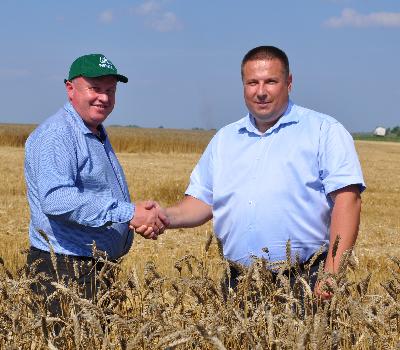 Саратовские хлеборобы намолотили 6,5 млн тонн зерна