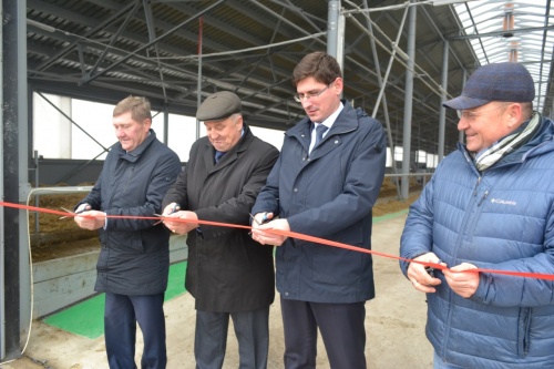 В Нижегородской области открылась еще одна молочная ферма