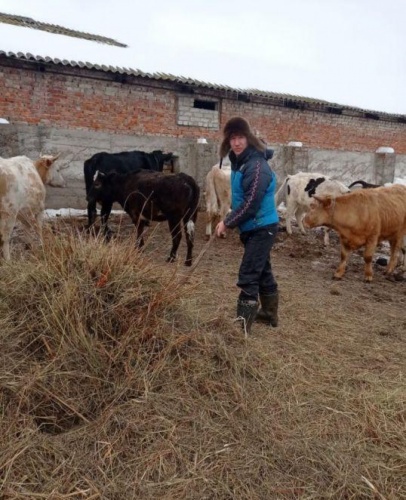 В Башкирии растет количество животноводческих ферм