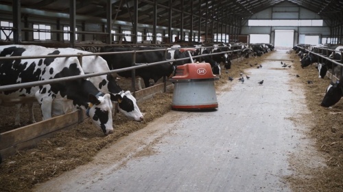 В Башкирии инвестиции дают «большое молоко»