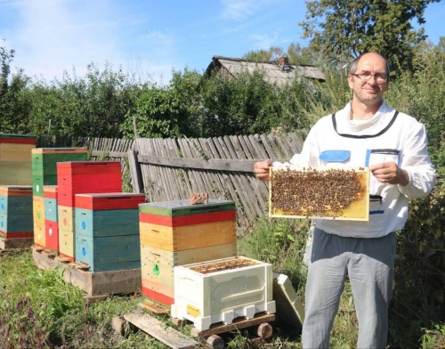 Нижегородским фермерам соцконтракт помог увеличить производство мёда