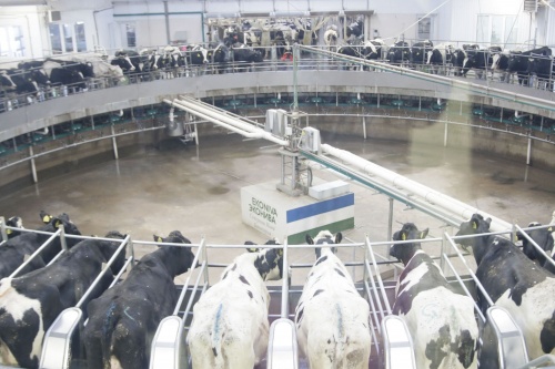 Башкирия взяла курс на создание индустриальных молочных ферм