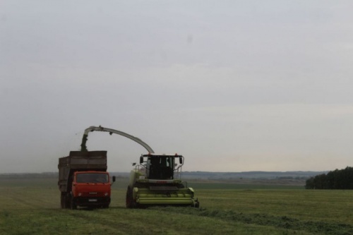 В Башкортостане заготовили 20 тысяч тонн сенажа