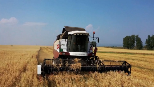 В Башкирии собрали более 2 млн тонн зерна нового урожая