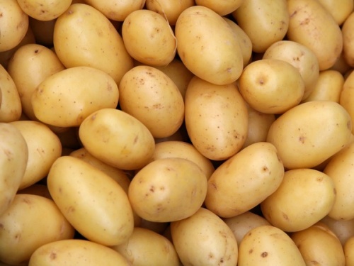 Чувашия наращивает экспорт картофеля