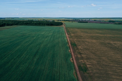 В Чувашии введут в оборот почти 12 тыс. га сельхозземель
