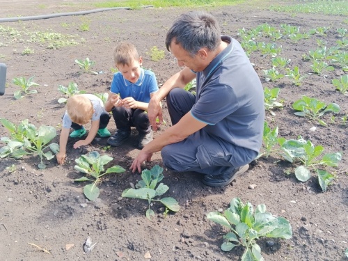 В Кузбассе уделяют внимание развитию семейного агробизнеса