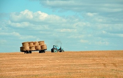 В Ульяновской области продолжается заготовка кормов
