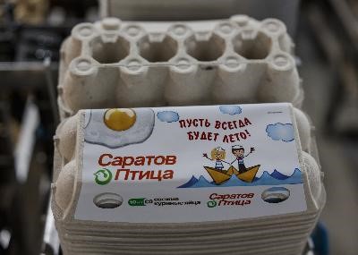 В Саратовской области птицефабрика увеличит производство яйца