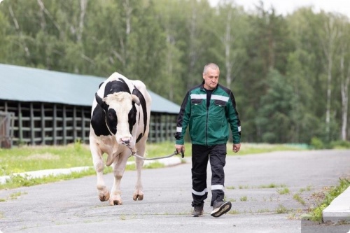 В Свердловской области выбрали лучших зоотехников