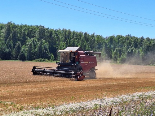 В Пензенской области намолочено 188 тыс. тонн зерна