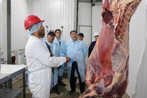 В Казахстане растет количество убойных цехов