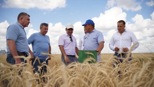 В Татарстане элеватор принял зерно нового урожая