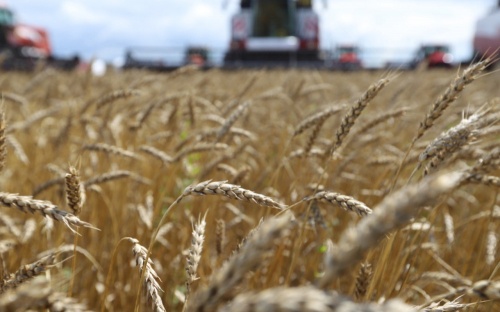 В Оренбуржье собран первый миллион тонн зерна