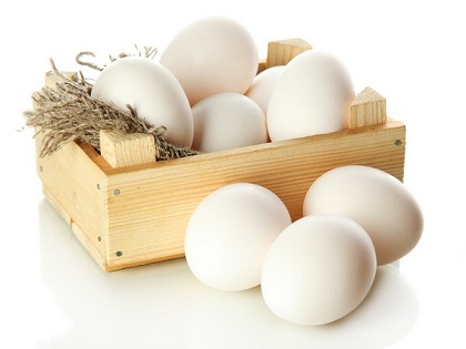В Ульяновской области растет производство яиц