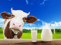 В России растет производство молока