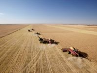 Хлеборобы Поволжья собрали более 10 миллионов тонн зерна