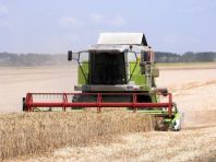 В Карагандинской области ожидается собрать свыше 570 тыс. т зерна