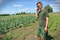 В Красноярском крае удвоят максимальный размер гранта начинающим фермерам