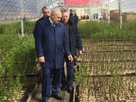 В России до 2020 года планируется создать до 150 селекционно-семеноводческих центров