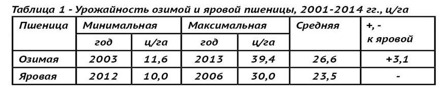 Сколько собирают с га пшеницы. Сколько зерна пшеницы можно собрать с 1 га. Урожайность озимой пшеницы с 1 га. Сколько собирают зерна с 1 гектара. Сколько зерна с 1 гектара можно собрать.