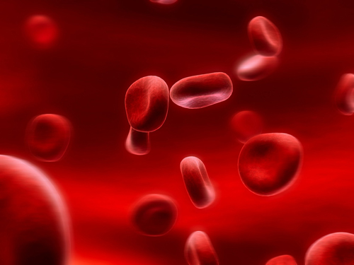 Что такое гемоглобин крови млекопитающих thumbnail
