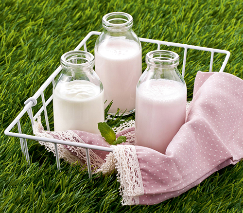 Российское органическое молоко – миф, реальность или новые возможности?