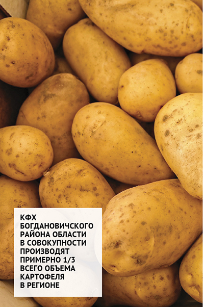 Картофель уральский:  выращиваем с любовью