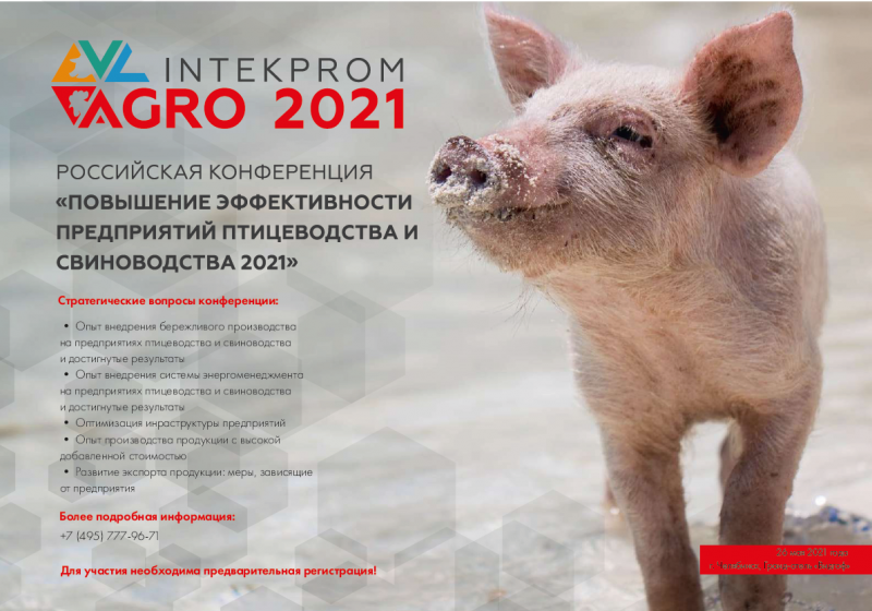 Повышение эффективности предприятий птицеводства и свиноводства обсудят в Челябинске