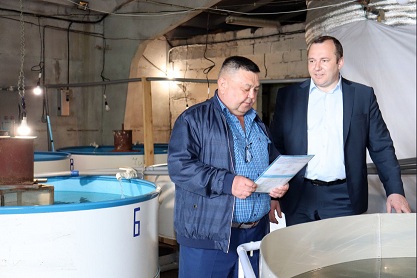 В Новосибирской области вывели новый рыбный гибрид