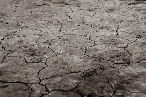 В Курганской области будет введен режим ЧС из-за засухи