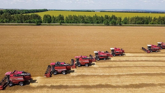 Аграрии Ульяновской области намолотили почти 300 тыс. т зерна