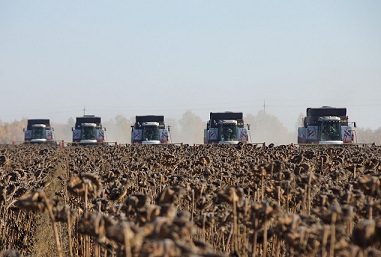 В Курганской области завершается уборка зерновых