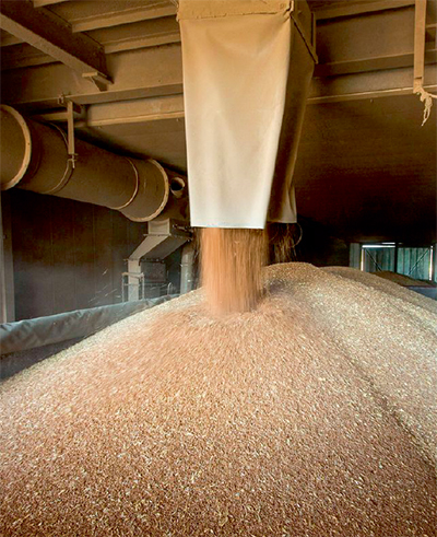 Способы хранения зерна: удобные, экономичные, надёжные