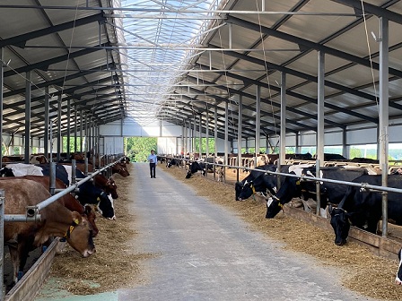 В Пензенской области наращивают поголовье дойных коров