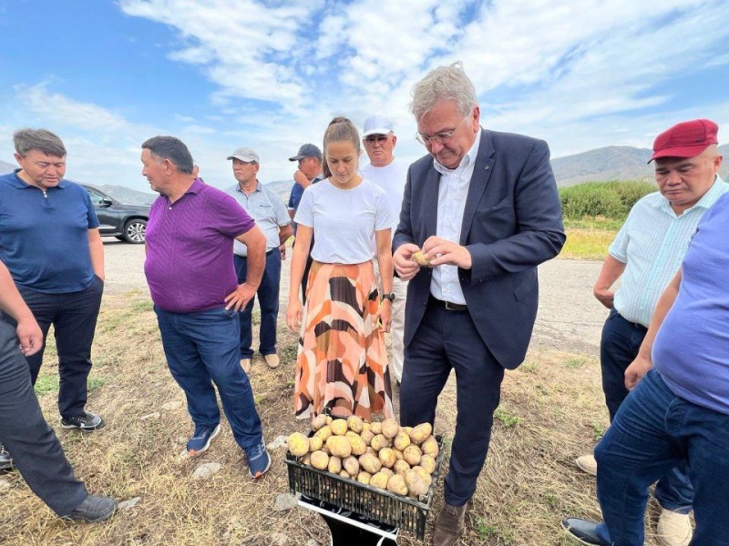 В Жетысуской области построят картофельный завод