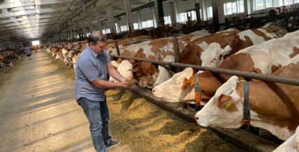 В Алтайском крае наращивается база молочного скотоводства