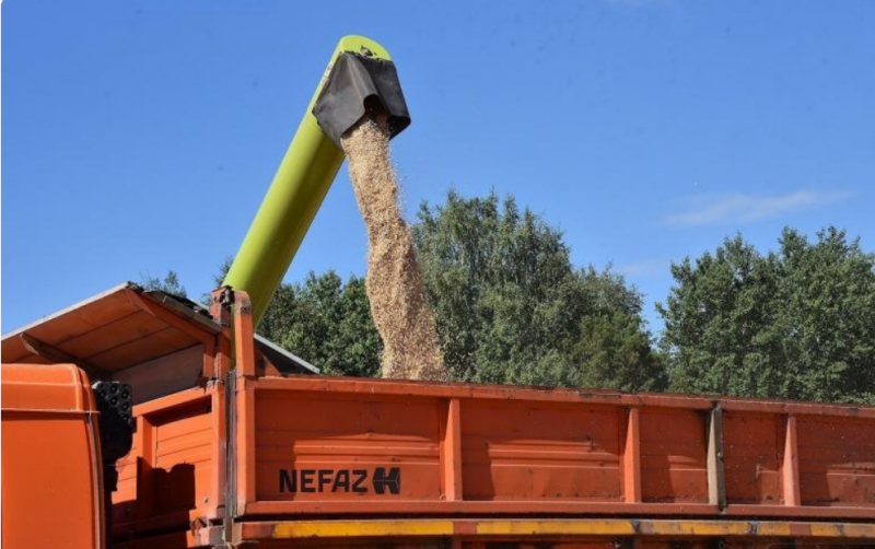 Свердловские производители зерна получат поддержку