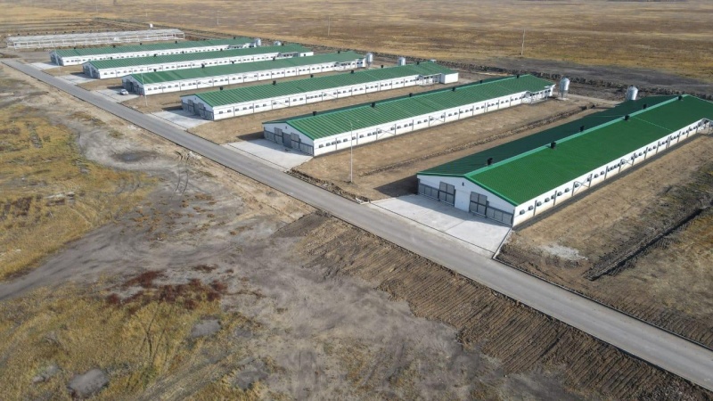 В Казахстане заработала новая птицефабрика