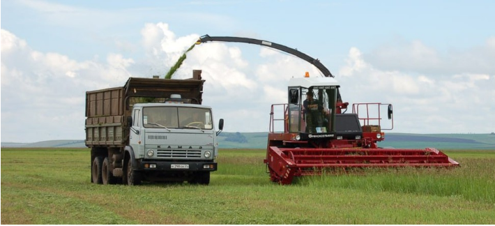 В Красноярском крае кормозаготовка идет высокими темпами