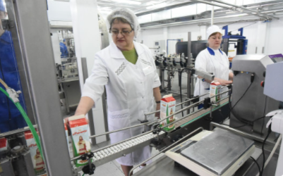 Новосибирская область вышла в лидеры по производству молока