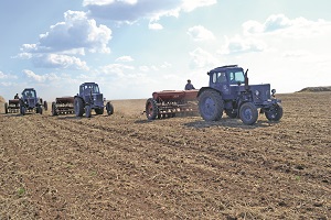 В Новосибирской области начался сев зерновых культур