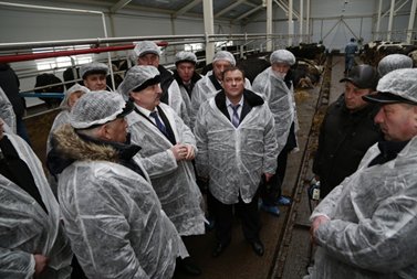 В Оренбургской области производство молока снизилось на 5,2%