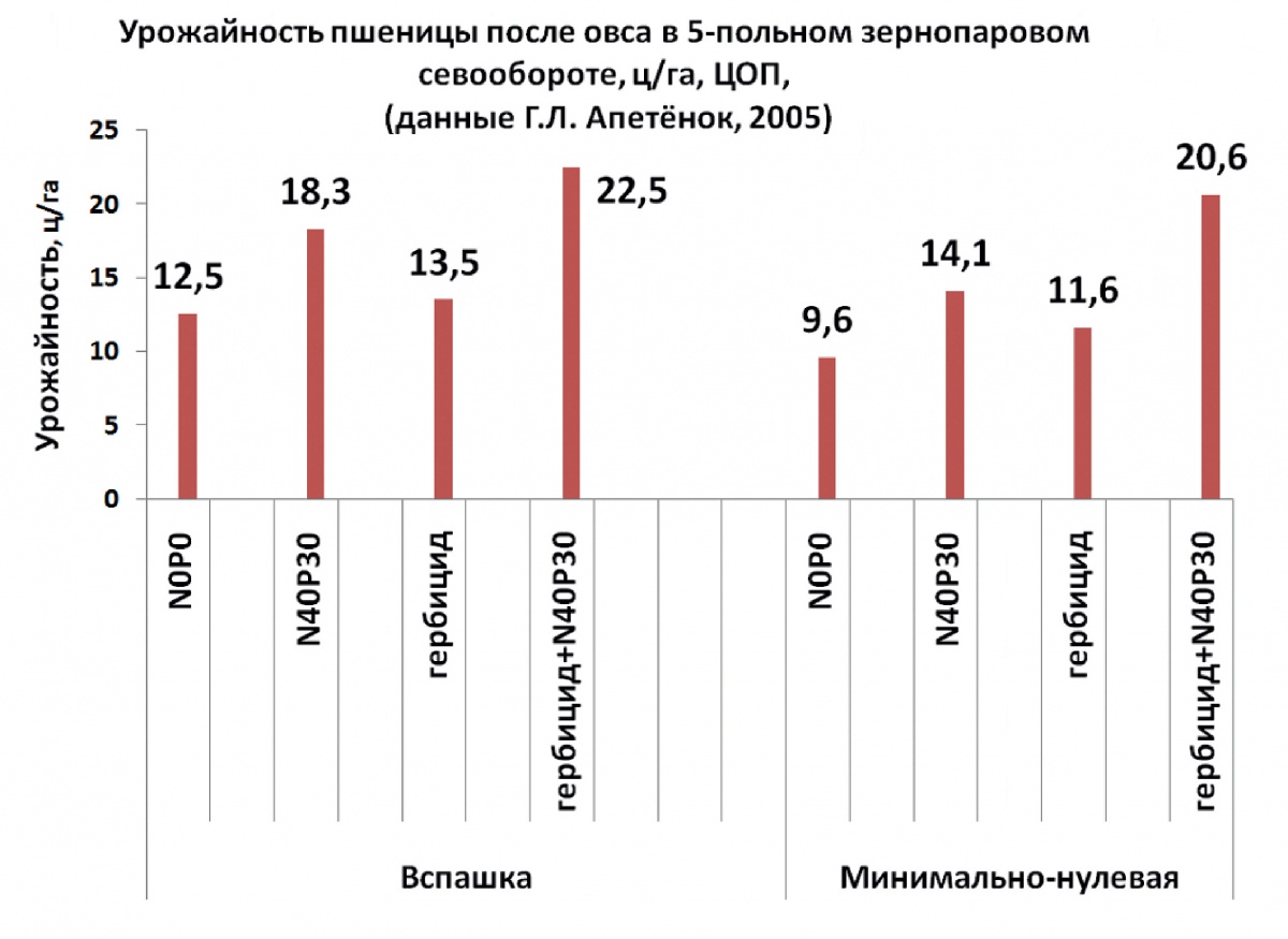 Урожай пшеницы застрахован по системе