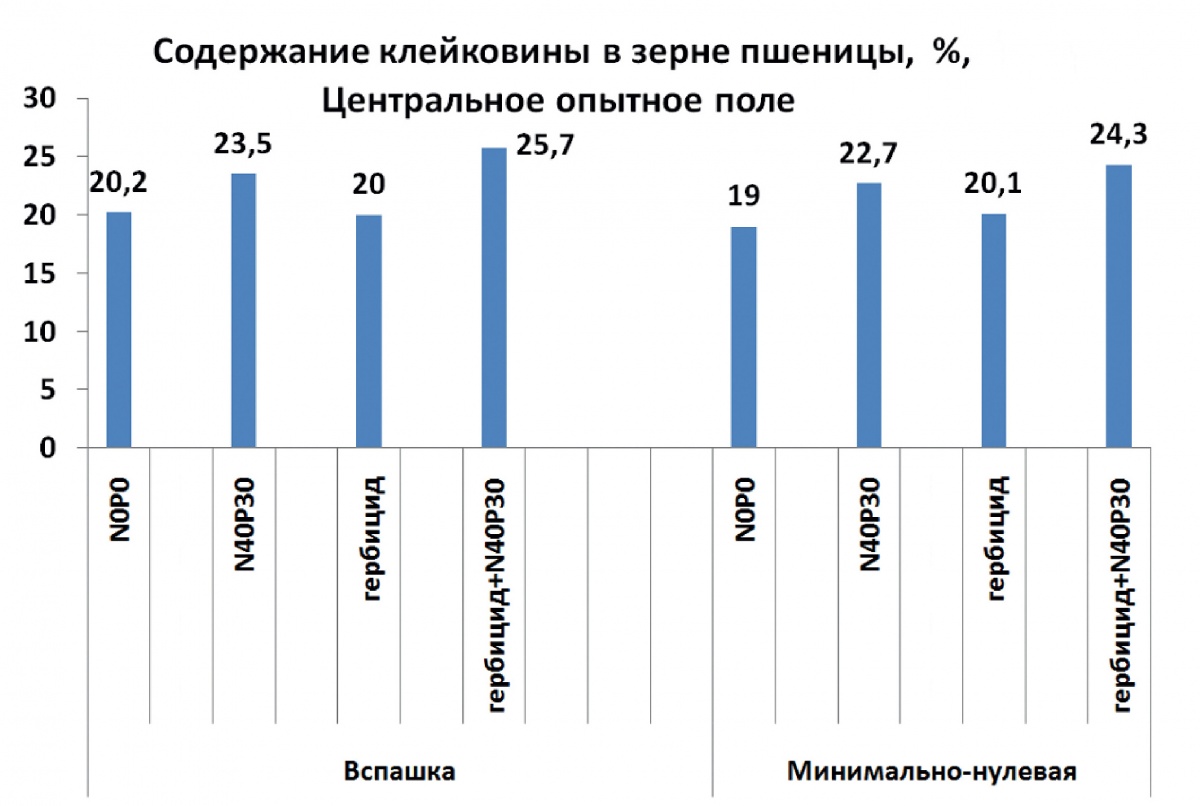 Урожай пшеницы застрахован по системе